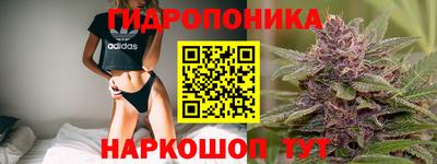 СК Чапаевск