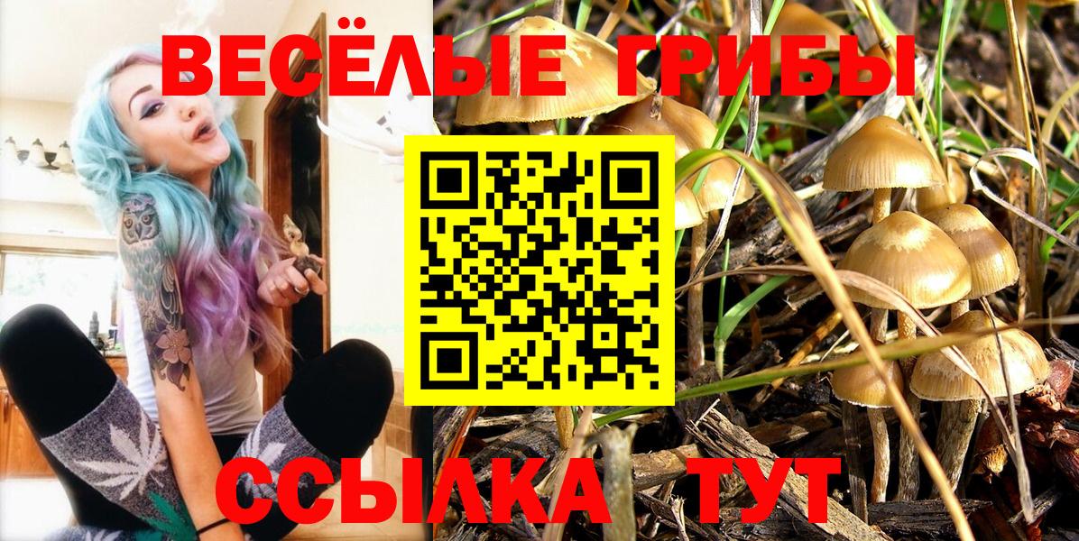 Псилоцибиновые грибы GOLDEN TEACHER  где продают   Новоалтайск  Вход с VPN 
